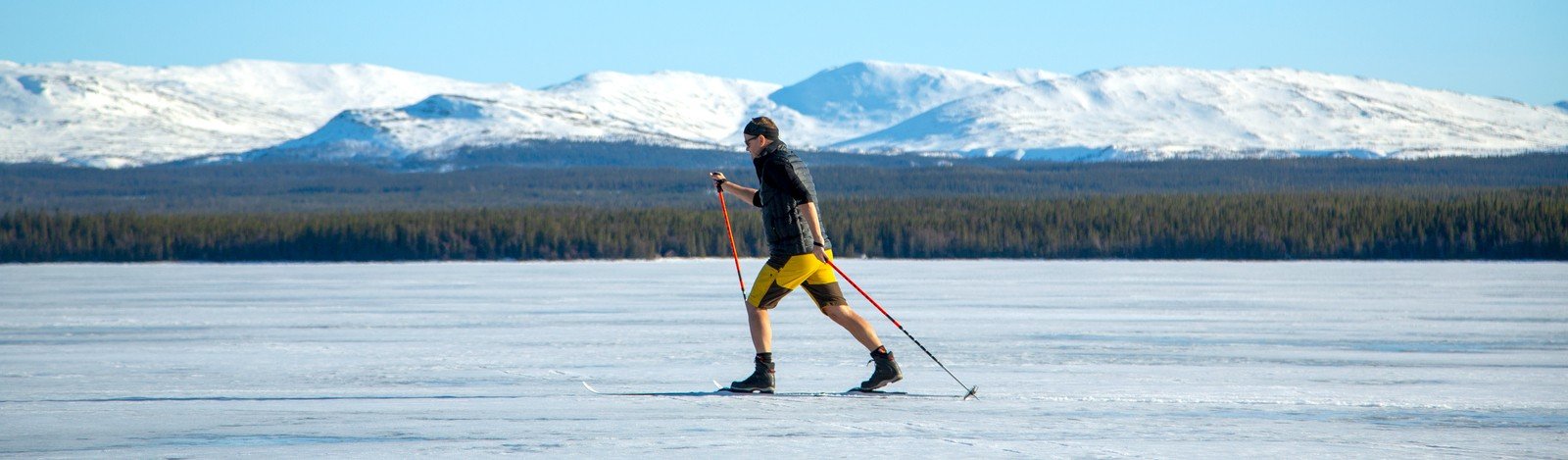 Hvordan velge skøyteski - tips for nybegynnere og erfarne