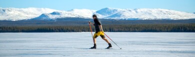 Hvordan velge skøyteski - tips for nybegynnere og erfarne