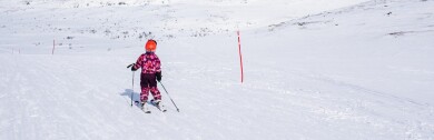 Hvordan velge ski til barn - enkle tips for riktig valg