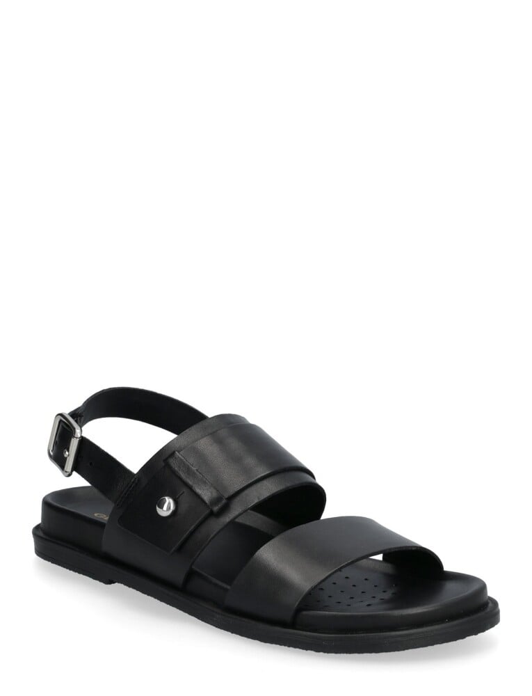 GEOX D Adelash A   Black   41 - main photo