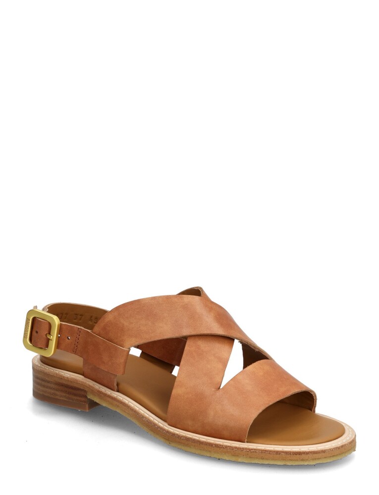 ANGULUS Sandals   Flat    Open Toe   Op   Brown   35 - main photo
