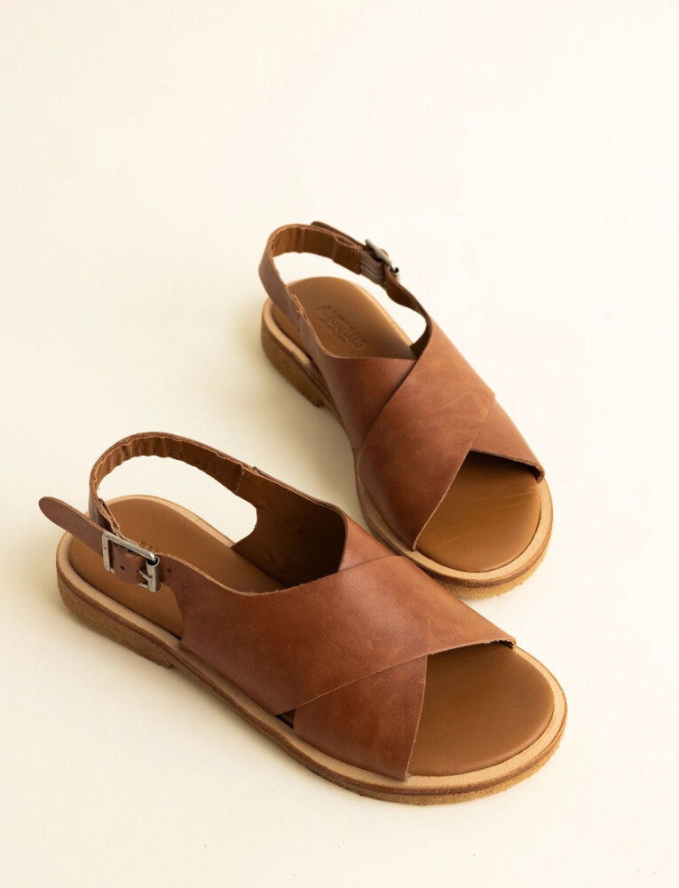 ANGULUS Sandals - Flat  - Open Toe - Op - Brown - 34 - main photo