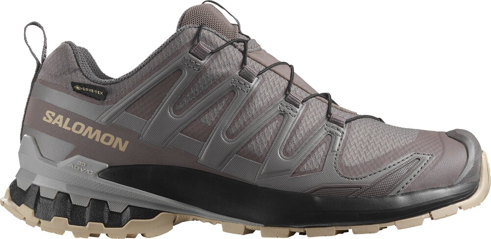 Salomon Women's XA Pro 3D V9 GORE-TEX Plum Kitten/black/gull 37 1/3 - main photo