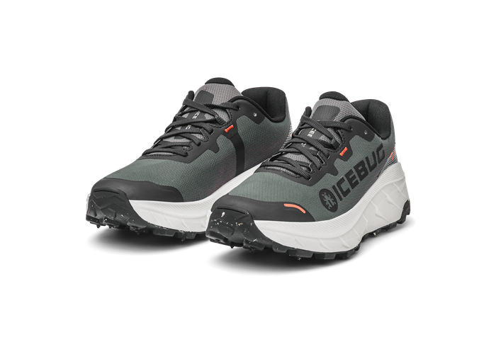 Icebug Arcus 2 Women's BUGrip GTX Grey - main photo