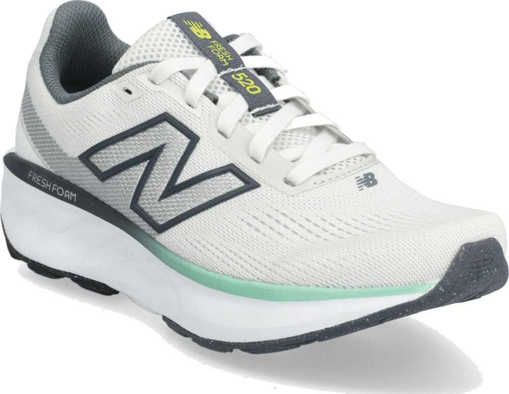 New Balance New Balance Freshfoam 520 V9 Grey 39 - main photo