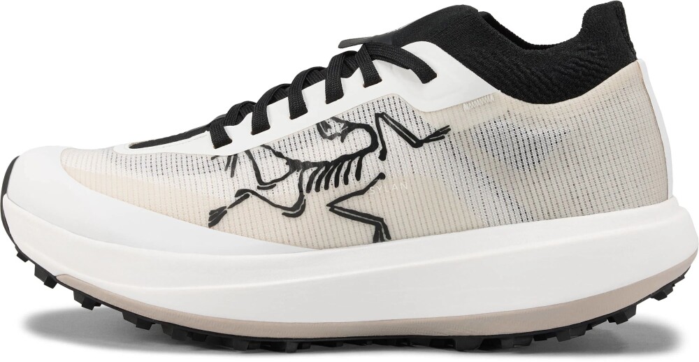 Arc"teryx Sylan Pro W"s arctic silk/arctic silk UK 6,5 - main photo