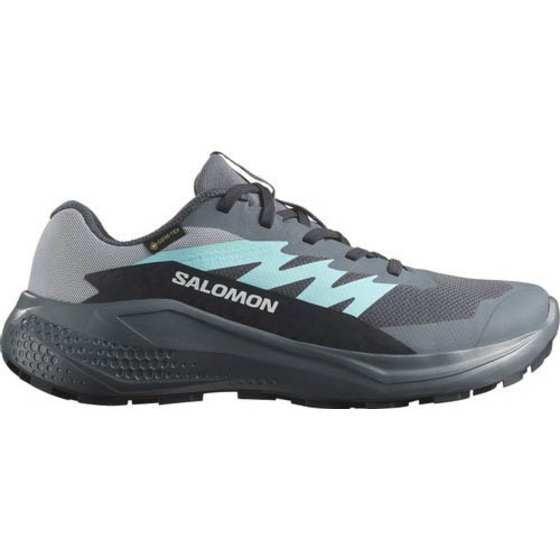 Salomon Alphaglide GTX Dame Turbulence/Aruba Blue/Dark Navy 42 - main photo