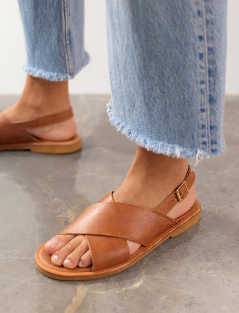 ANGULUS Sandals   Flat    Open Toe   Op   Brown   35 - main photo