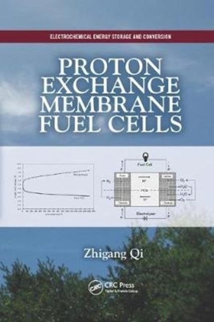 Proton Exchange Membrane Fuel Cells » Best Pris på Prisradar.no