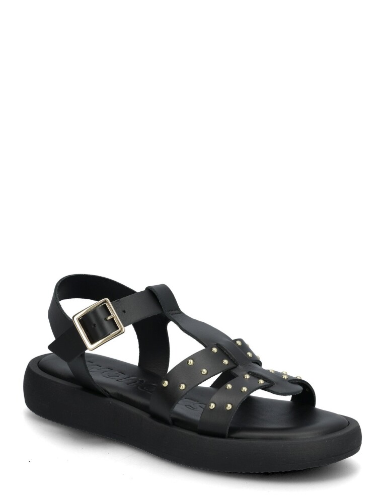 Wonders Musa 67 Black 41 - main photo