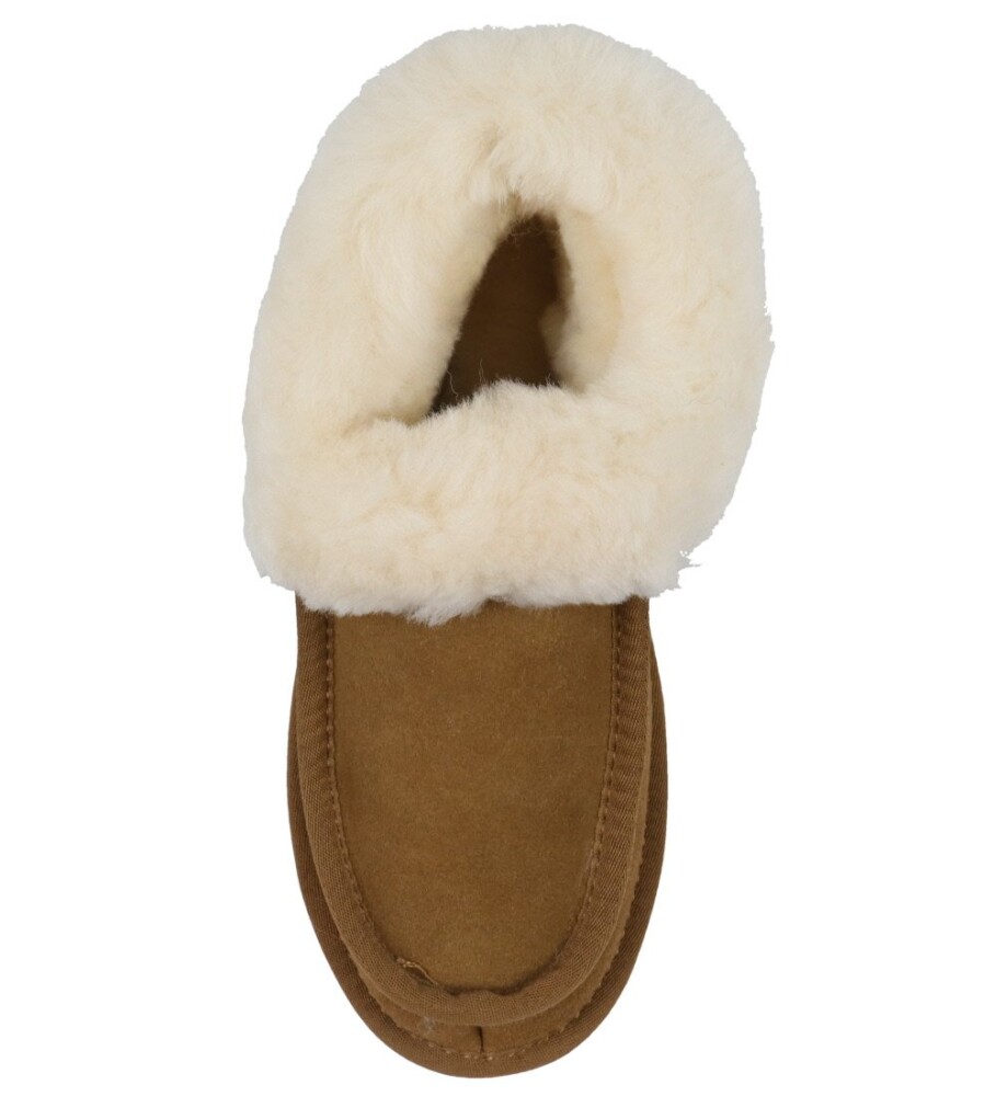 ANGULUS Indoor   Brown   36 - side b