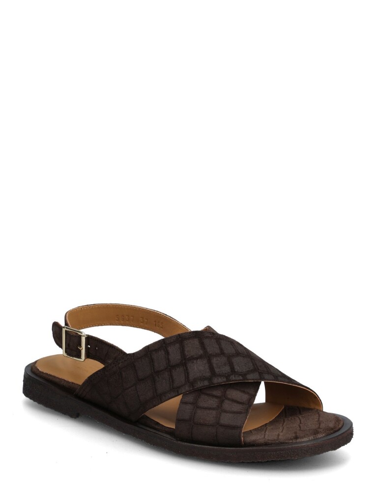 ANGULUS Sandals   Flat    Open Toe   Op   Brown   39 - main photo