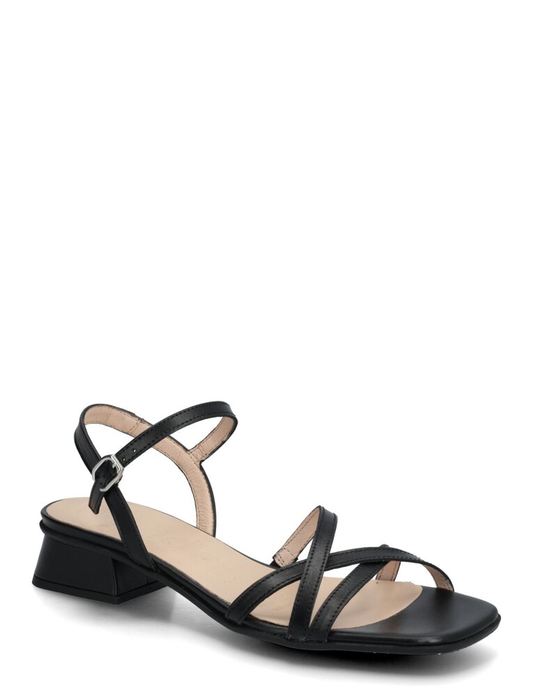 Wonders Caliza 01   Black   40 - main photo