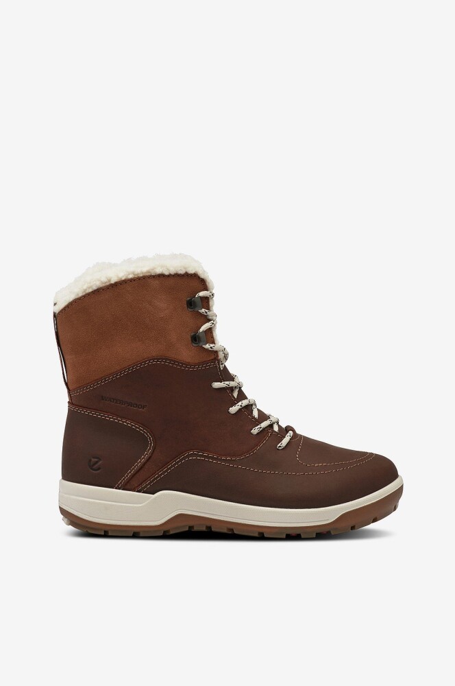 ecco Vinterskoletter Ecco Trace Lite Brun - main photo