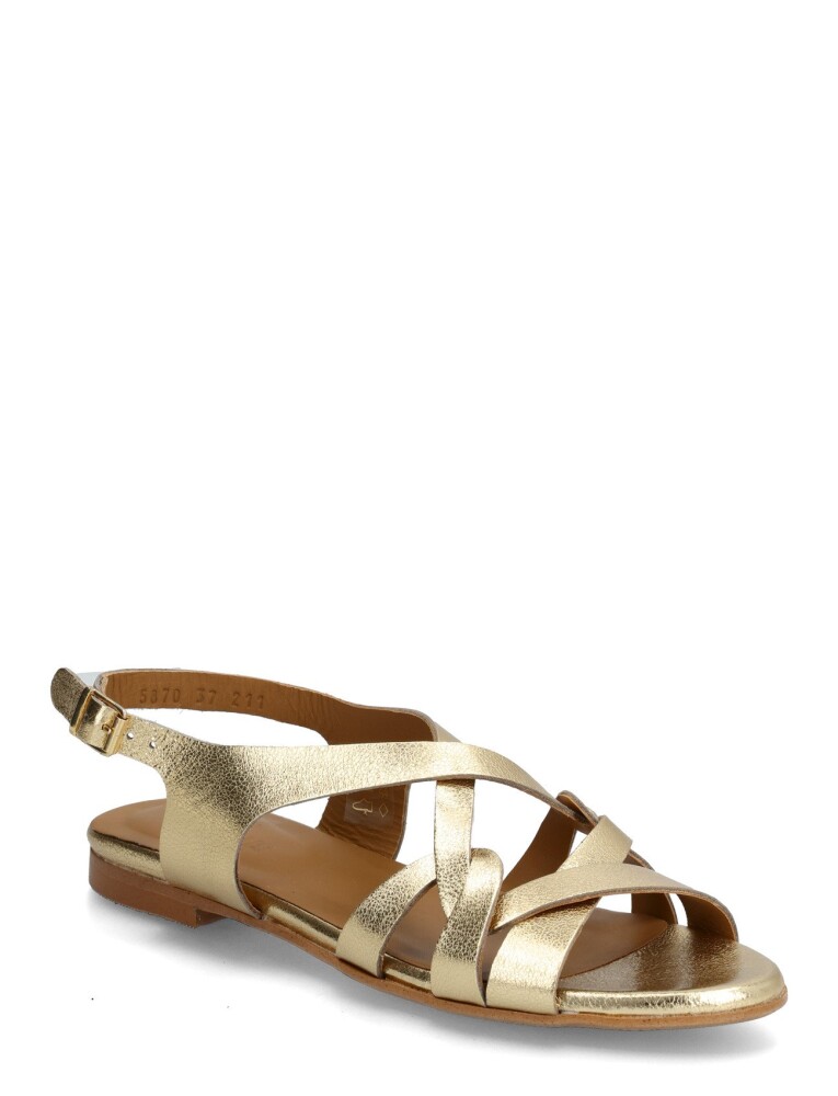 ANGULUS Sandals Flat Gold 38.5 - main photo