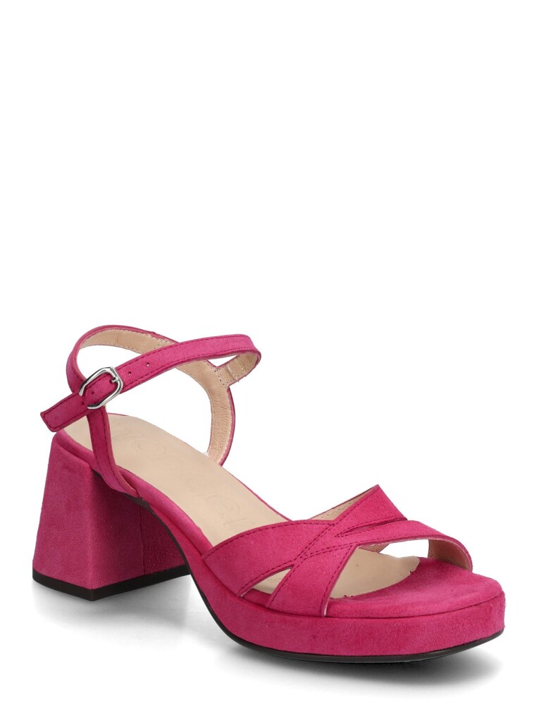 Wonders Zaida 20   Pink   40 - main photo