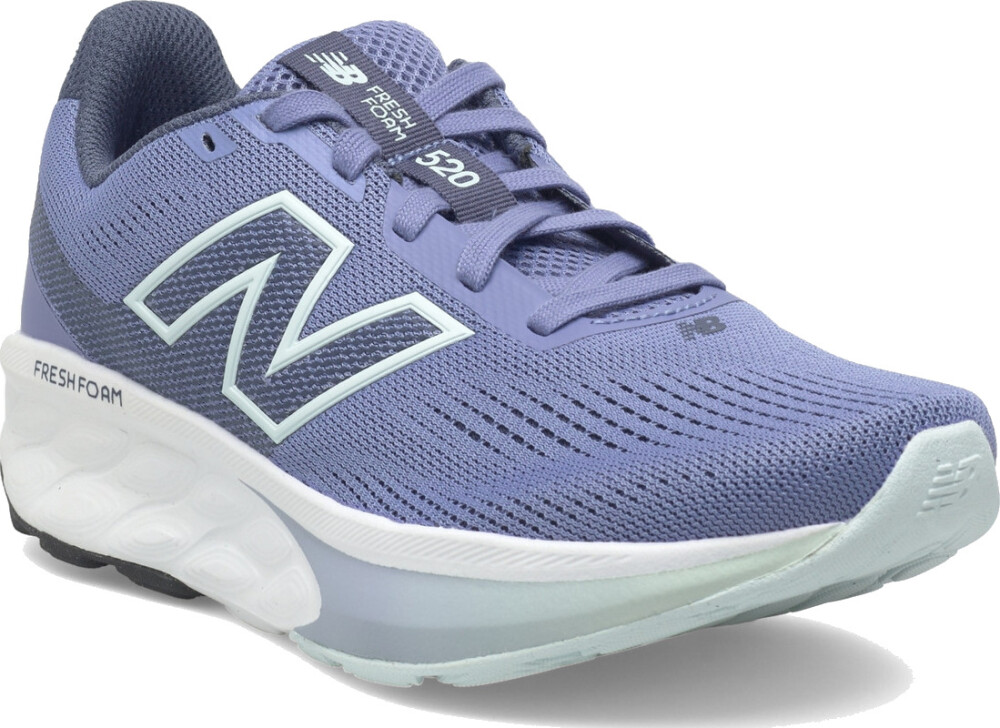 New Balance New Balance Freshfoam 520 V9   Blue   37.5 - main photo