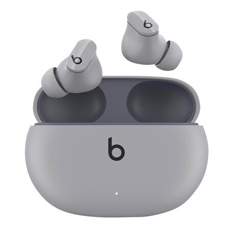 Apple Beats Studio Buds Grå