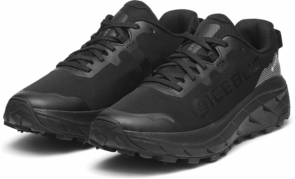 Icebug Arcus 2 BUGrip GTX Dame True Black 40 - side b