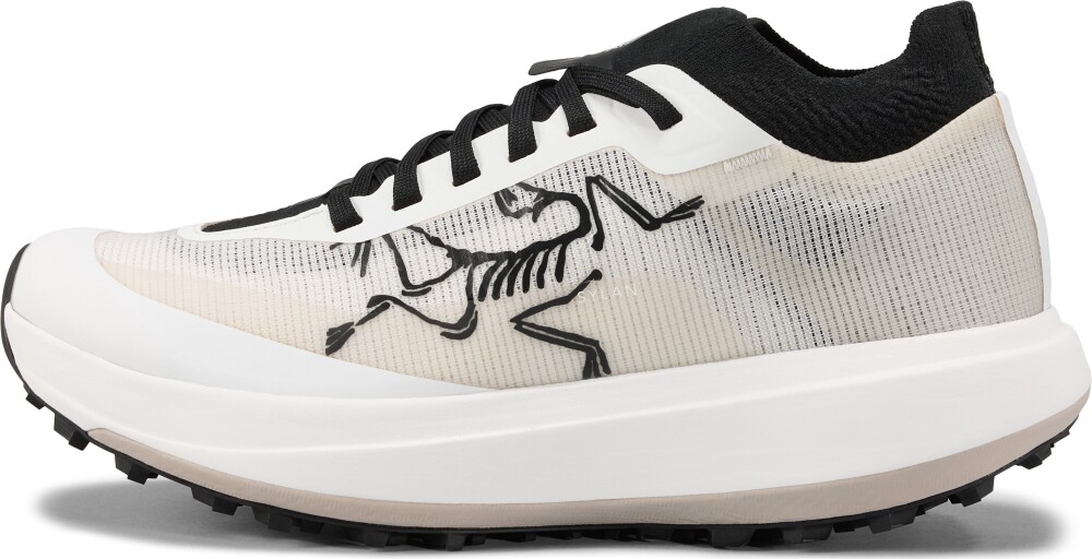Arc'teryx Women's Sylan Pro Arctic Silk/arctic Silk 41 1/3 - main photo