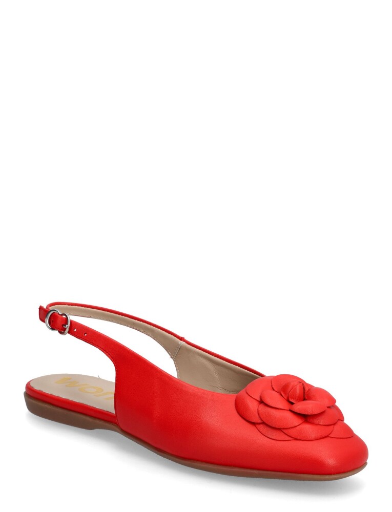 Wonders Pepa 40 Red 36 - main photo