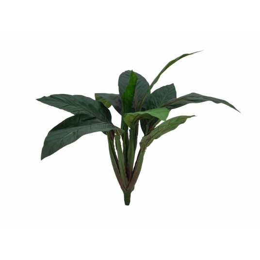 Europalms Sago Palm Tree, 45cm Europalms Sago Palm Tree, 45cm