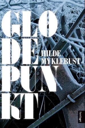 Glødepunkt av Hilde Myklebust - Roman om kjærlighet og arbeidspress