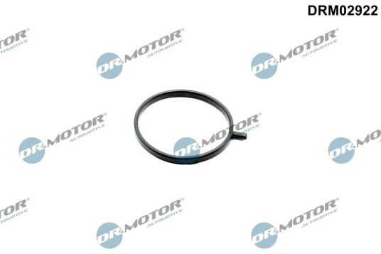 Tetningsring, laseluftslange DR.MOTOR AUTOMOTIVE DRM02922