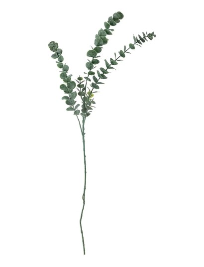 Bloomingville Eucalyptus Stem Green H76CM Bloomingville Eucalyptus Stem Green H76CM