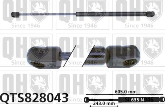 QUINTON HAZELL QTS828043 Baklukedemper