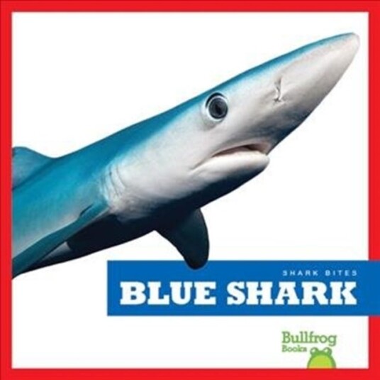 Blue Shark Blue Shark