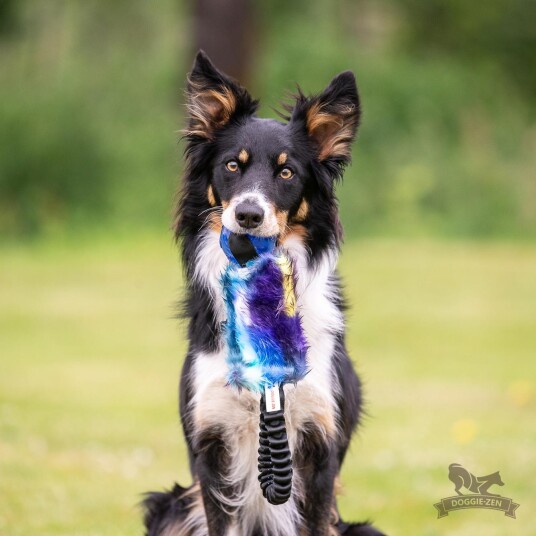 Doggie-Zen Doggie-Zen Elastisk Hundeleke Med Kong Squeezz Ball 33Cm