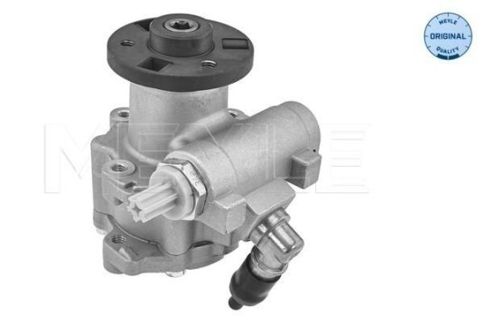 Servopumpe MEYLE 314 631 0031 Servopumpe MEYLE 314 631 0031