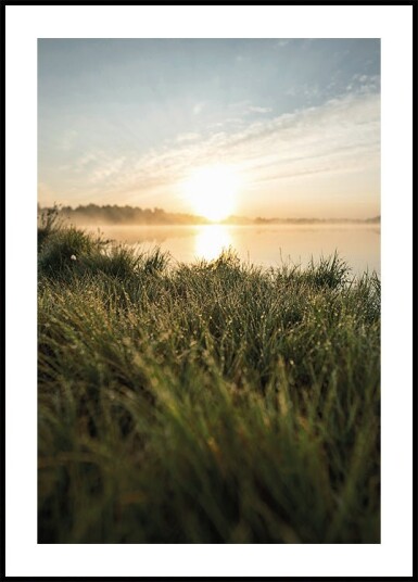 Dewy Dawn by the Lake Plakat Plakat / 40x50cm
