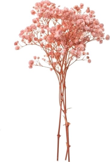 Gypsophila 4 Kvister Ca 20 Cm Lys Rosa