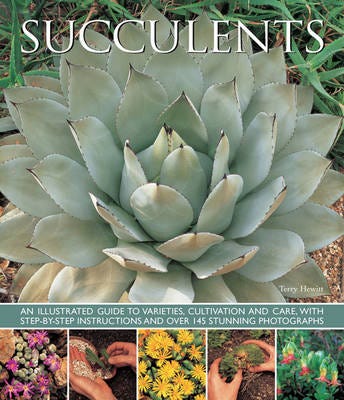 Succulents