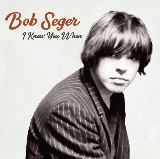 Bob Seger  I Knew You When  LP/Vinyl