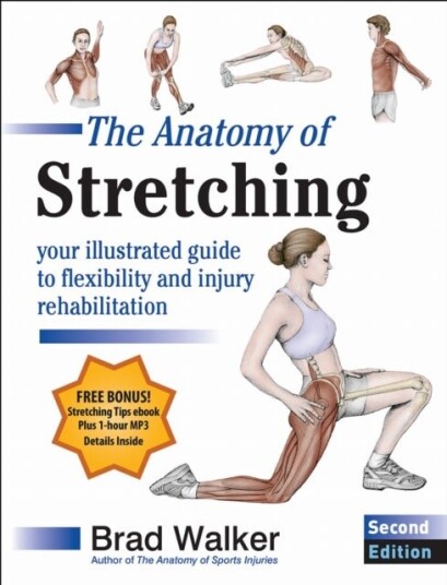 The Anatomy of Stretching The Anatomy of Stretching