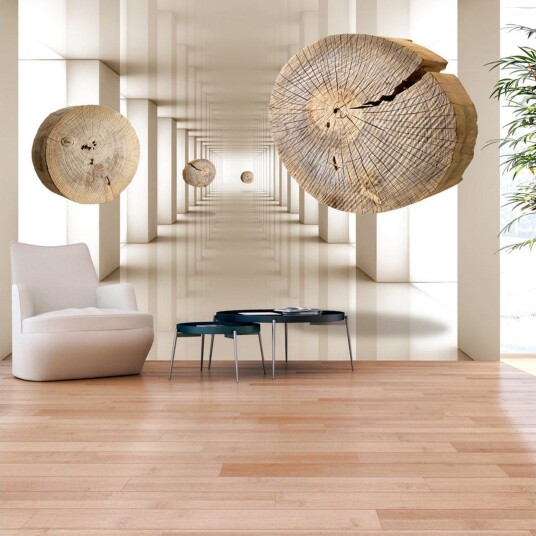 Fototapet Flying Discs Of Wood 250x175 - Artgeist sp. z o. o.