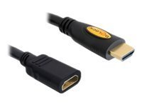 Delock High Speed HDMI with Ethernet - HDMI-forlengelseskabel med Ethernet - HDMI hann til HDMI hunn - 2 m - svart