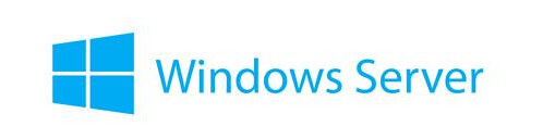 Lenovo Microsoft Windows Server 2019 - lisens - 1 enhets-CAL