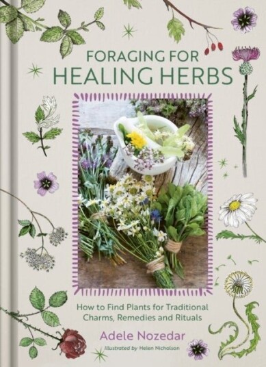 Foraging for Healing Herbs Foraging for Healing Herbs