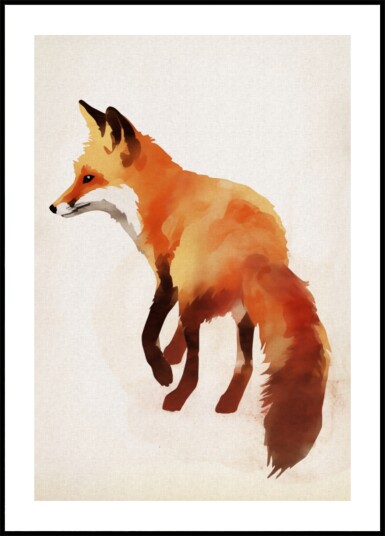 Red Fox Illustration Plakat / 40x50