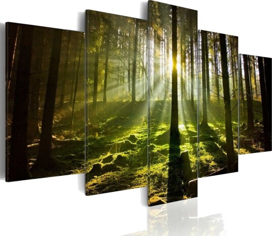 Bilde Spring Silence 200x100 Artgeist sp. z o. o.