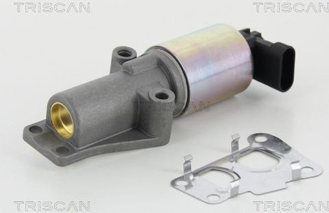 EGR-ventil TRISCAN 8813 24010
