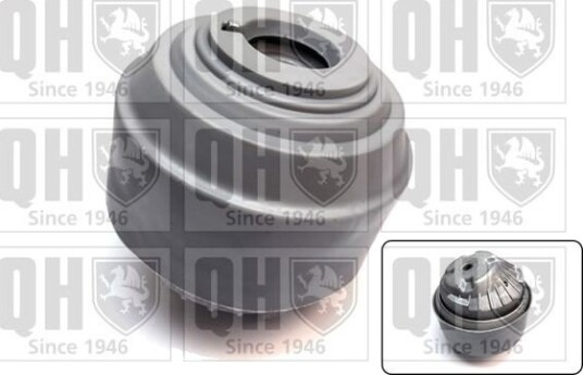 QUINTON HAZELL EM4800 Motorfeste