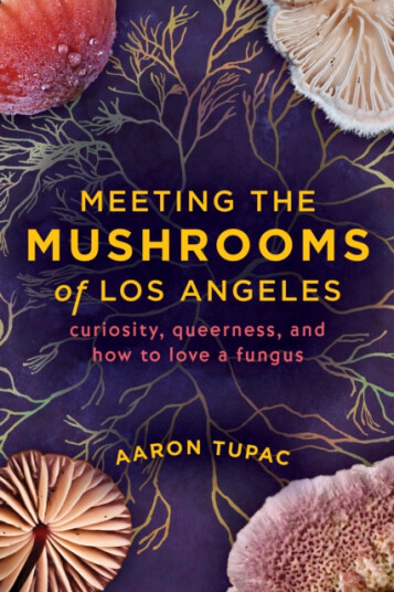 Meeting the Mushrooms of Los Angeles  Curiosity, Queerness, and How to Love a Fungus