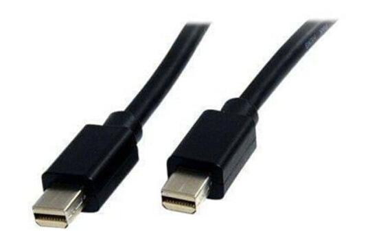 StarTech 2m Mini DisplayPort 1.2 Kabel Svart - 3840x2160 60Hz
