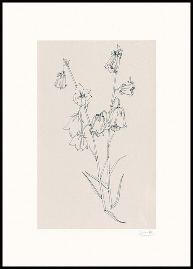 Bellflowers ink drawing Poster Plakat / 40x50cm
