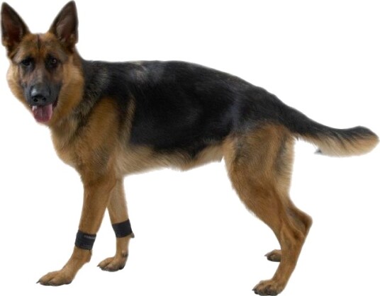 Kruuse Rehab Vektmansjetter til Fysioterapi for Hund - Medium